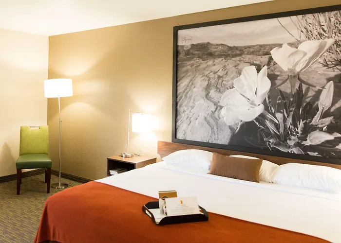 Super 8 By Wyndham Az Hotel