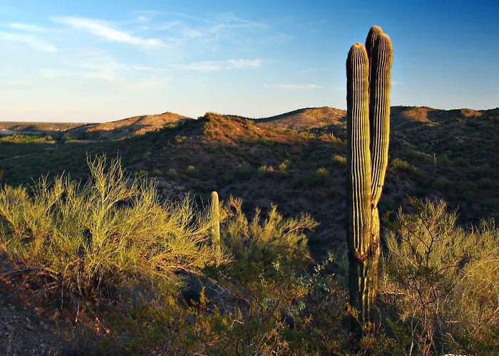 Super 8 By Wyndham Az Hotel 2*